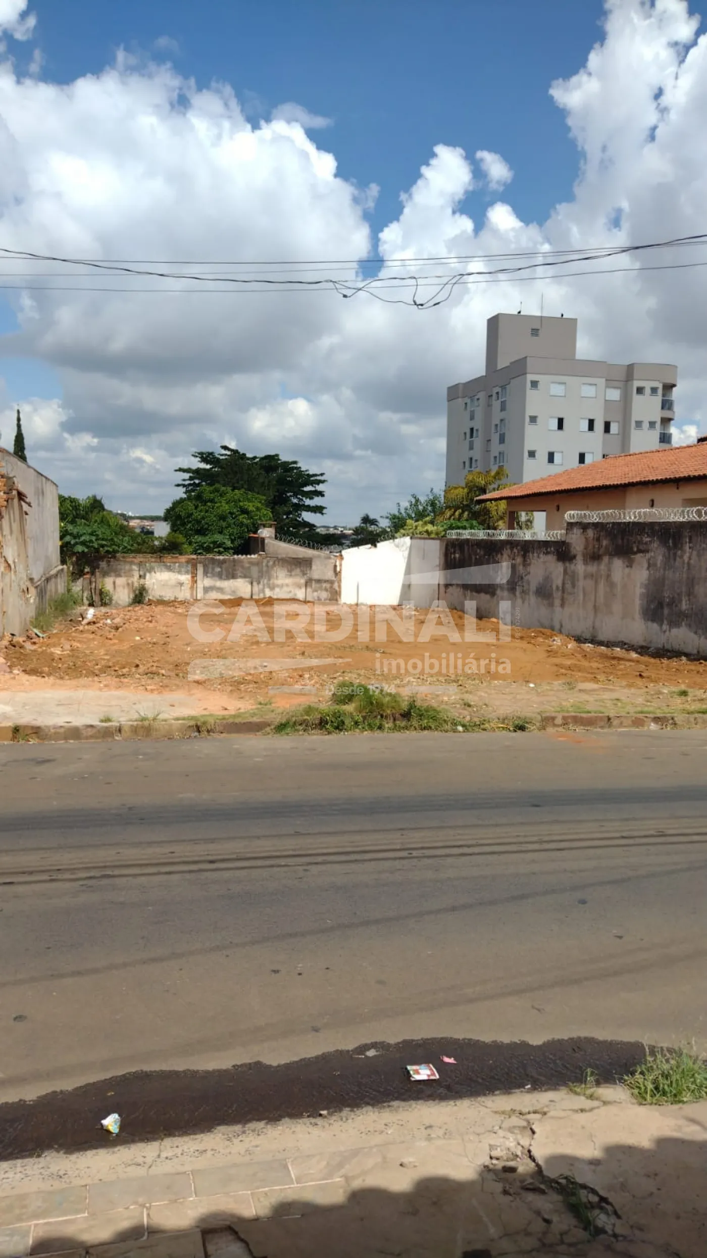 Terreno / Padrão em São Carlos 