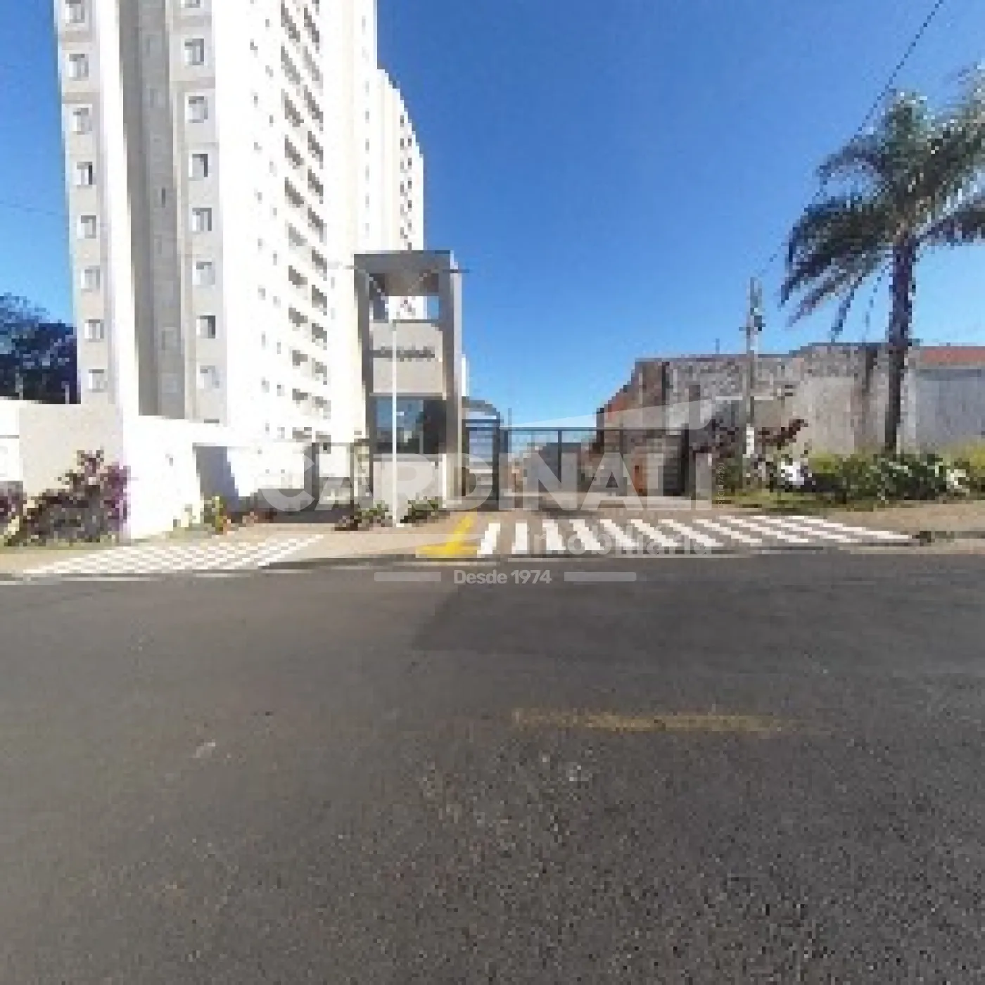 Apartamento / Padrão em São Carlos Alugar por R$1.778,00