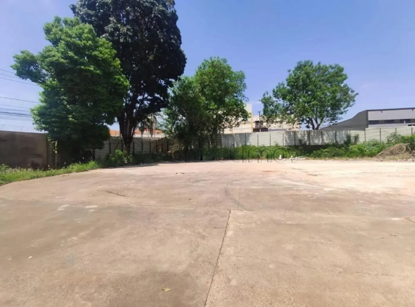 Terreno / Padrão em Ribeirão Preto Alugar por R$5.000,00