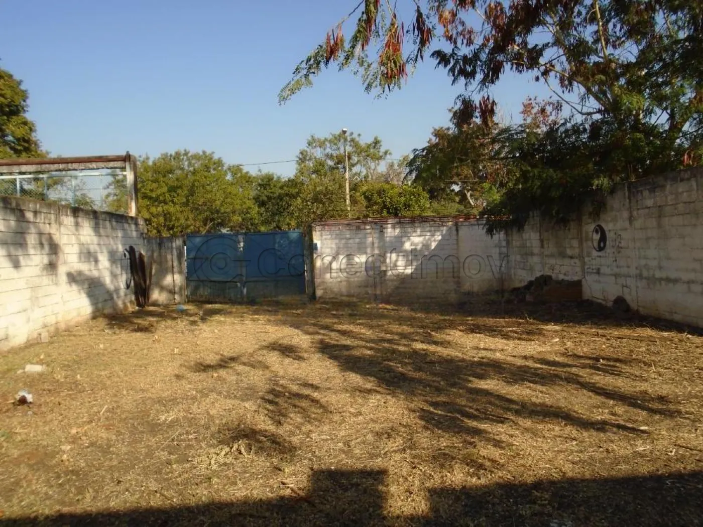 Terreno / Padrão em Ribeirão Preto Alugar por R$4.000,00