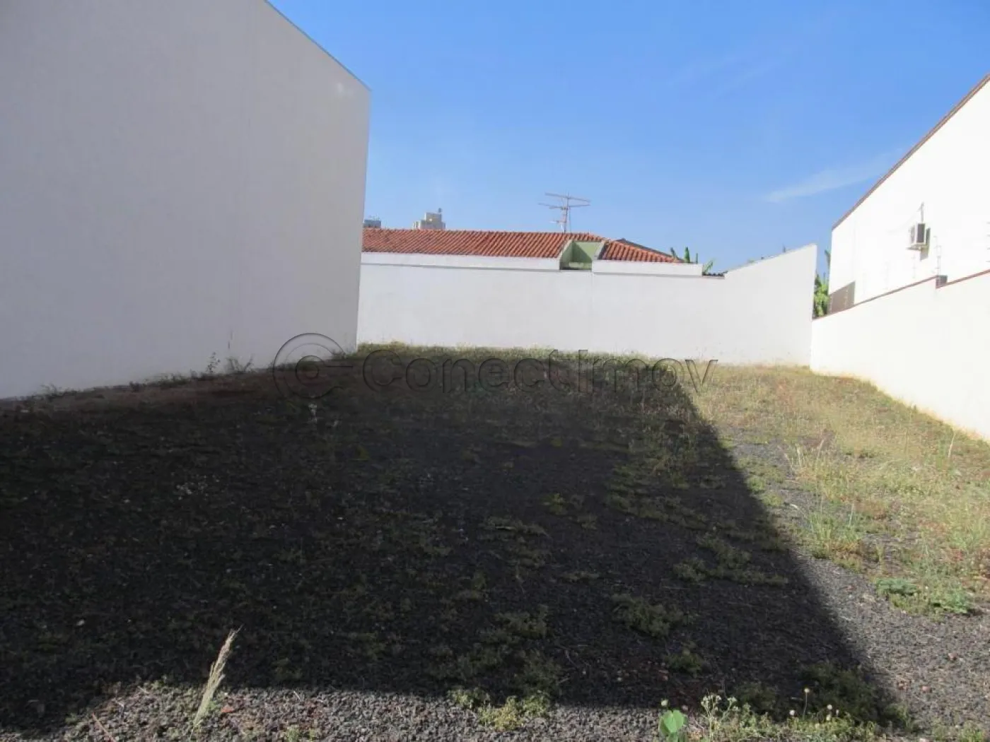 Terreno / Padrão em Ribeirão Preto Alugar por R$2.500,00