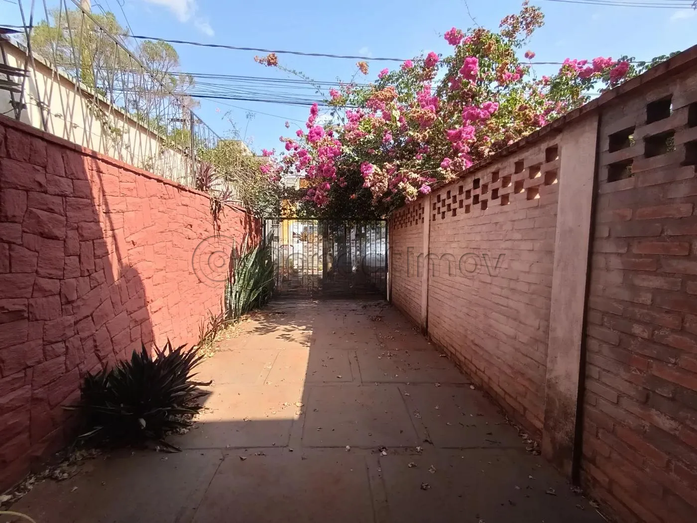 Comercial / Ponto Comercial em Ribeirão Preto Alugar por R$7.000,00