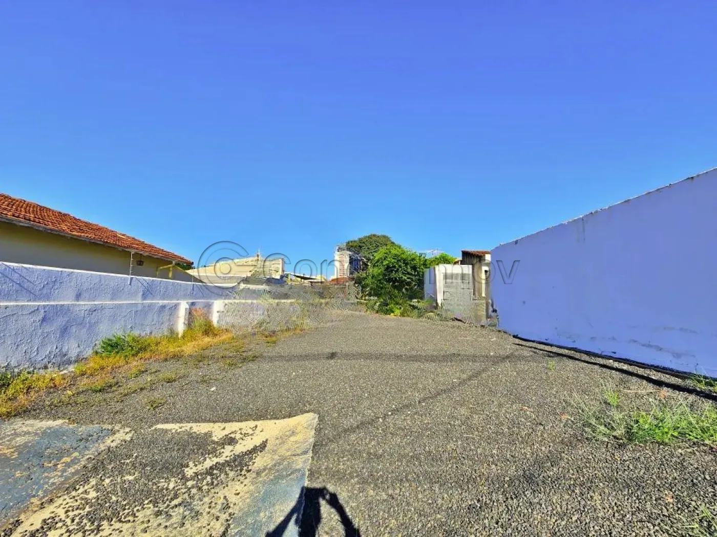 Comercial / Padrão em Ribeirão Preto Alugar por R$5.000,00