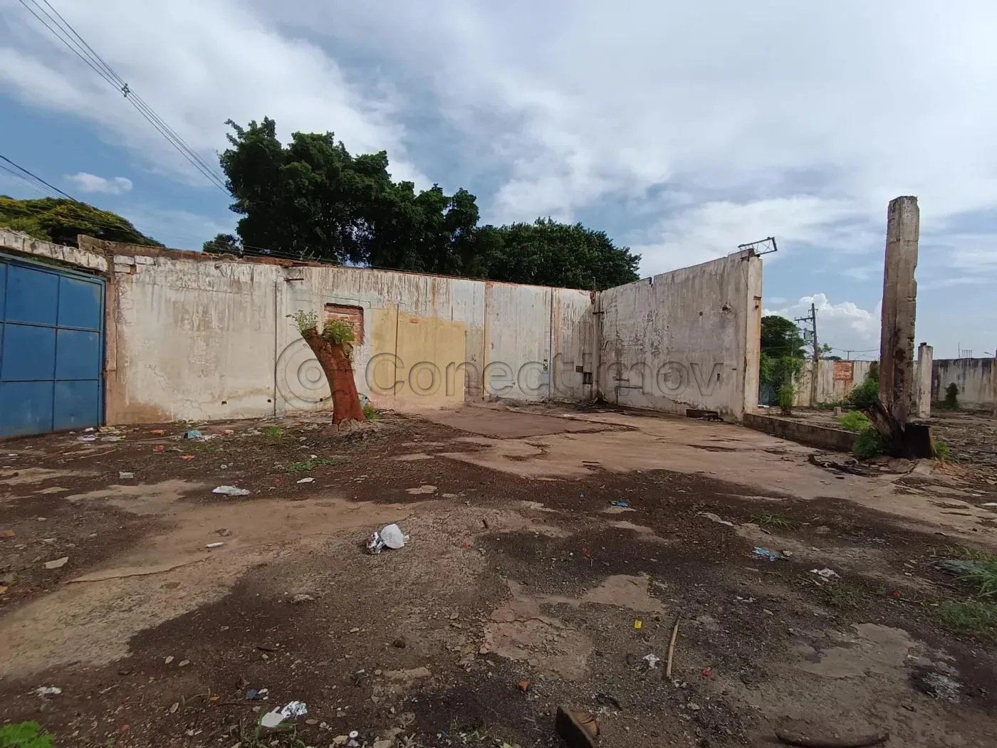 Terreno / Padrão em Ribeirão Preto Alugar por R$3.500,00