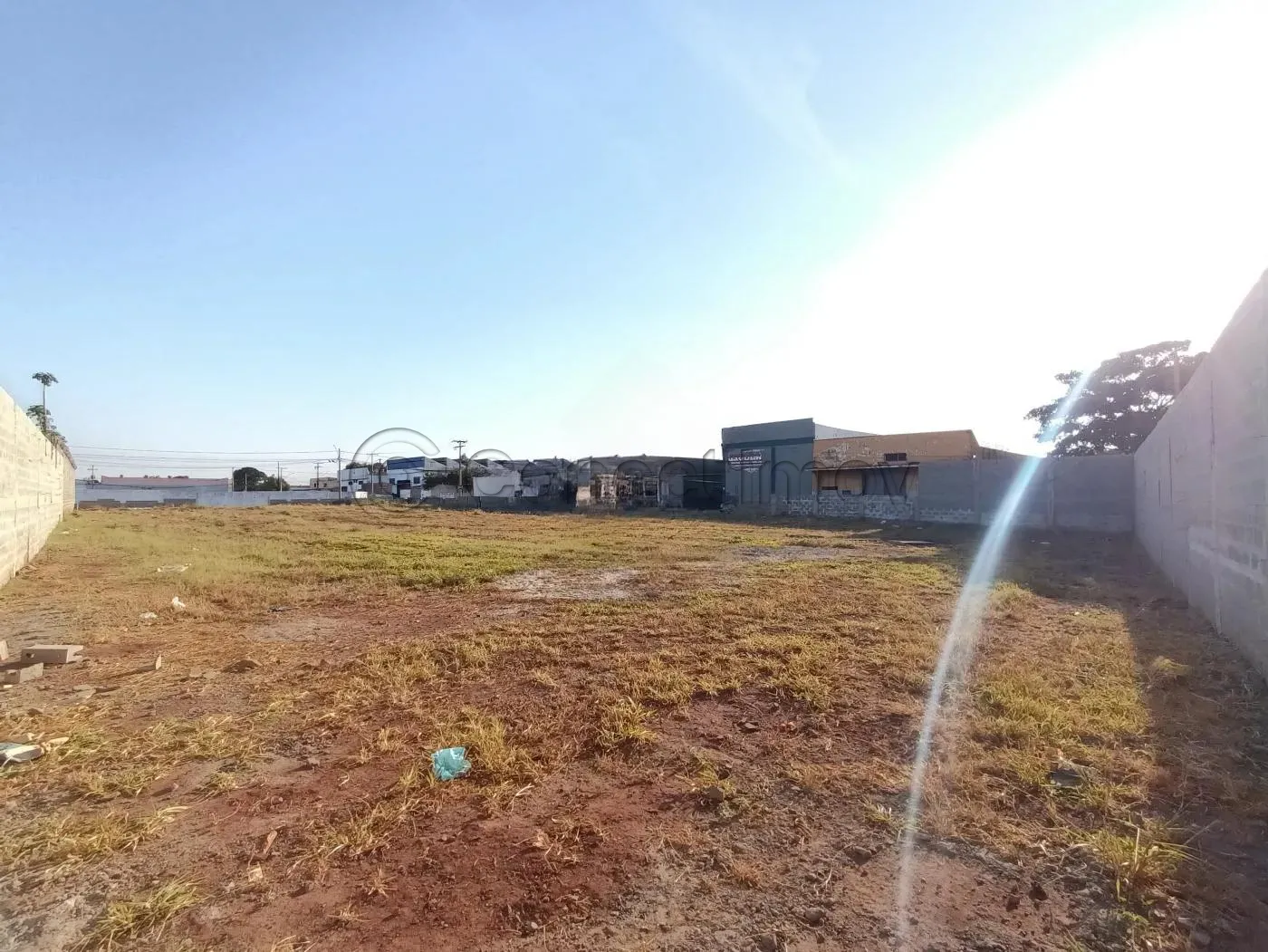 Terreno / Padrão em Ribeirão Preto Alugar por R$6.000,00