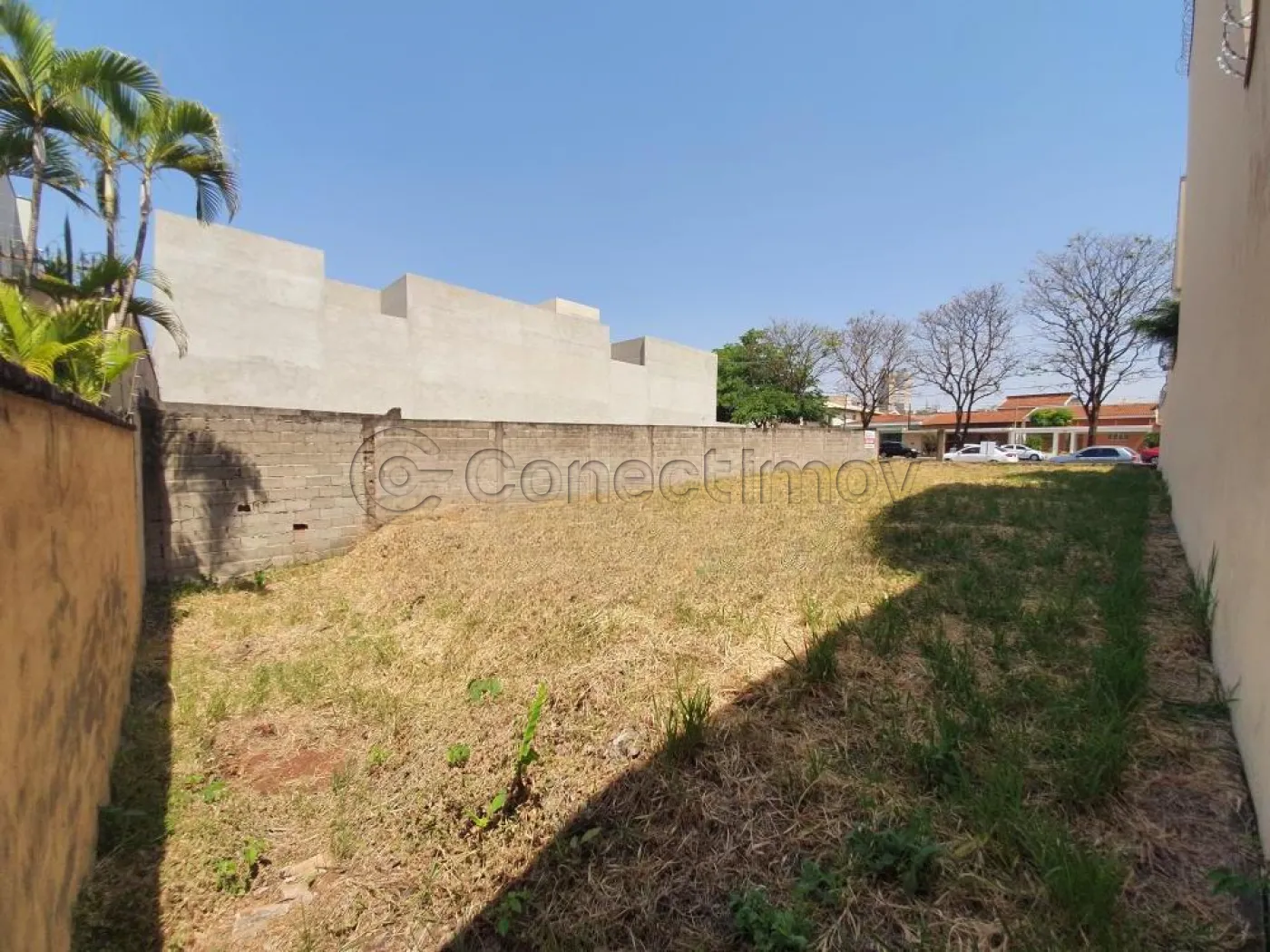 Terreno / Padrão em Ribeirão Preto Alugar por R$6.000,00