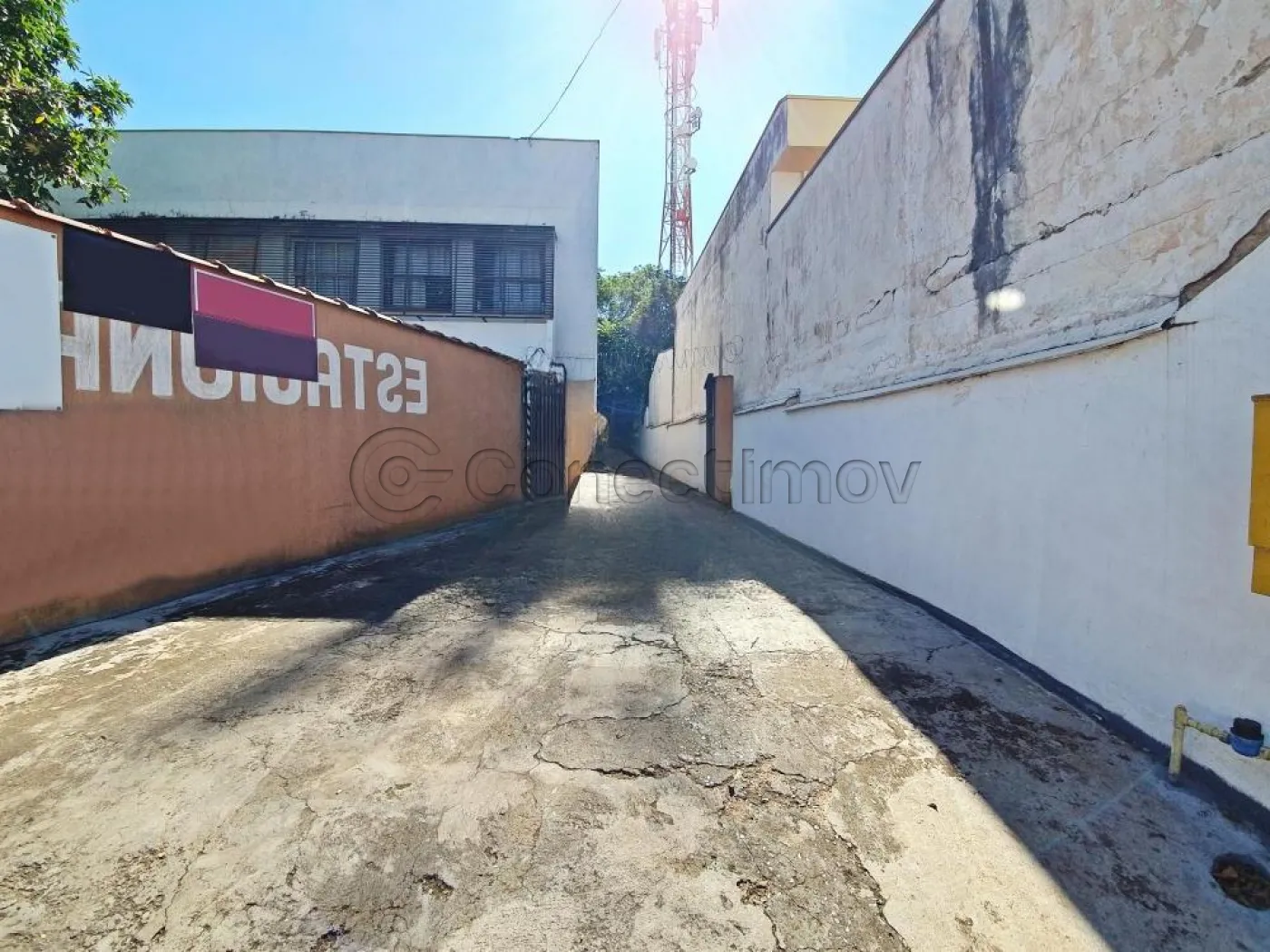 Comercial / Galpão em Ribeirão Preto Alugar por R$5.000,00