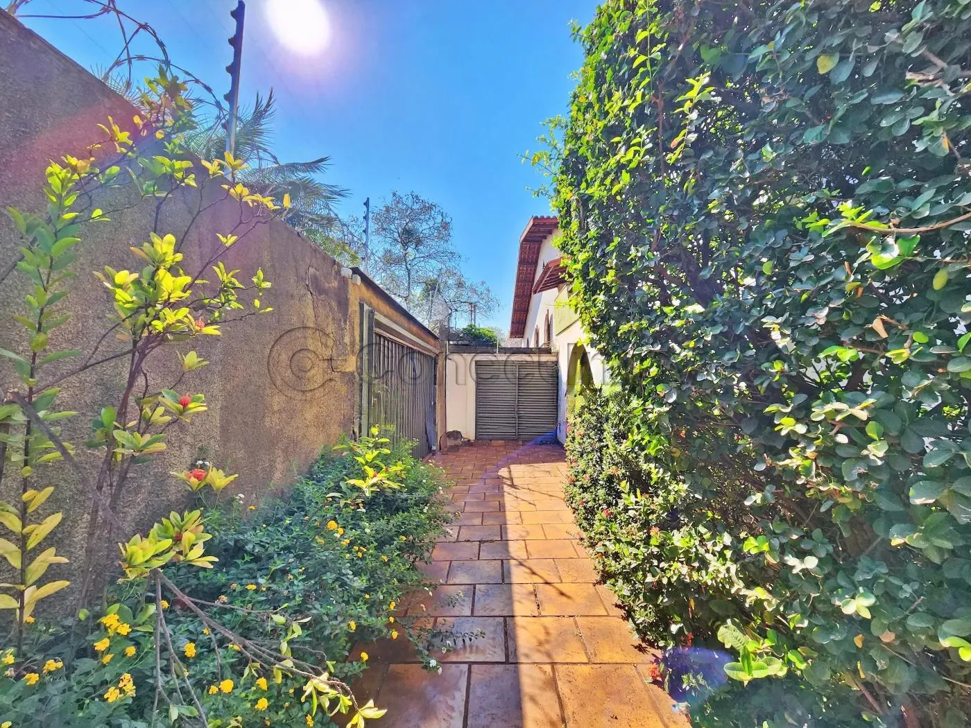 Casa / Padrão em Ribeirão Preto , Comprar por R$850.000,00