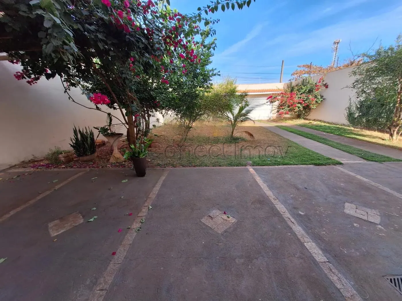 Comercial / Padrão em Ribeirão Preto Alugar por R$6.000,00