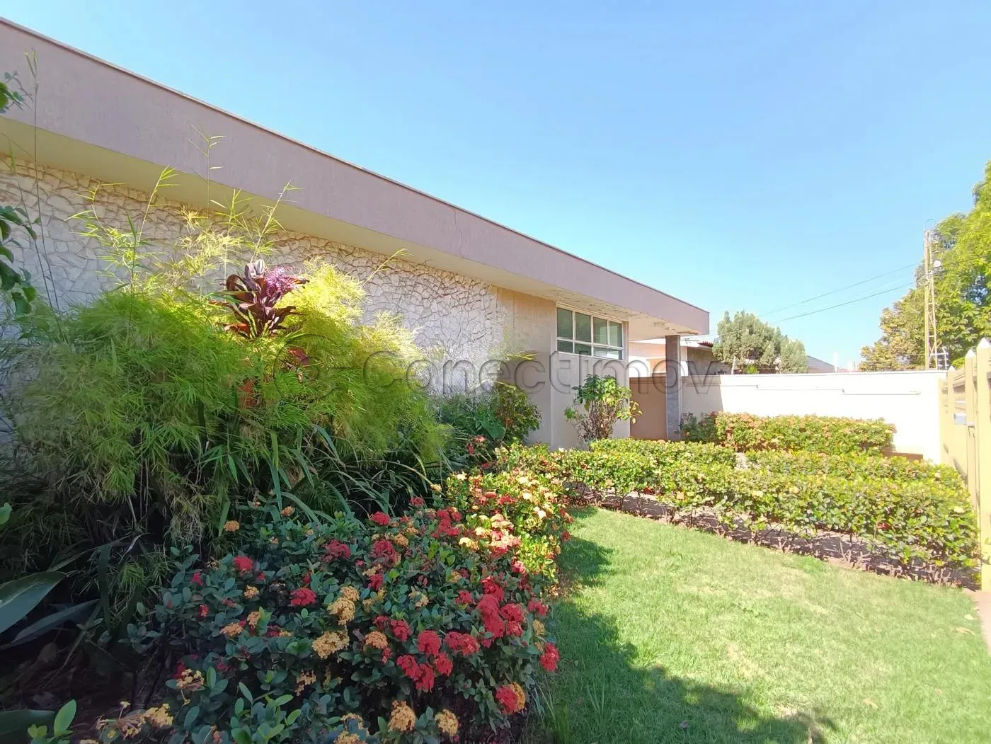 Casa / Padrão em Ribeirão Preto , Comprar por R$800.000,00