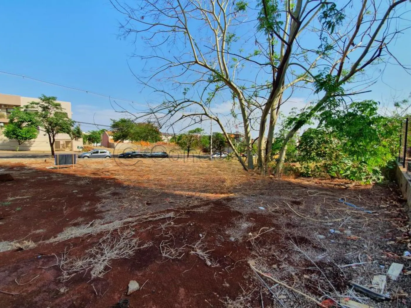 Terreno / Padrão em Ribeirão Preto Alugar por R$3.500,00