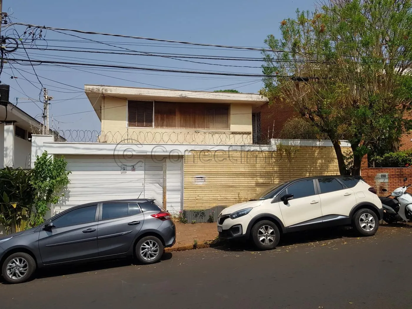 Comercial / Padrão em Ribeirão Preto Alugar por R$5.500,00