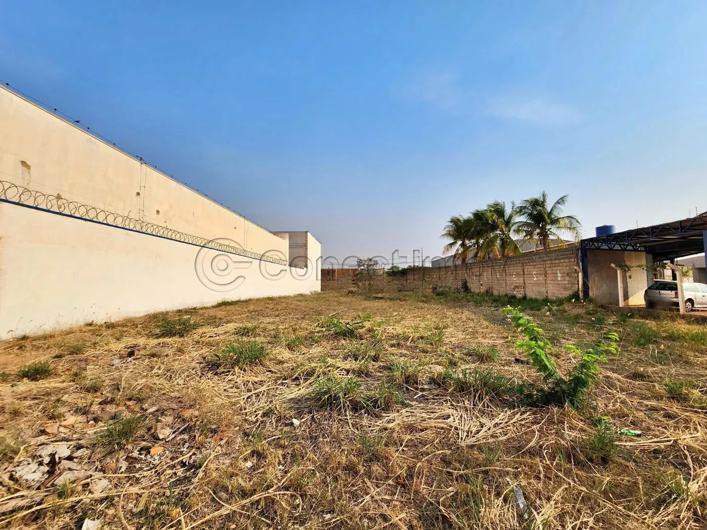 Terreno / Padrão em Ribeirão Preto Alugar por R$4.500,00