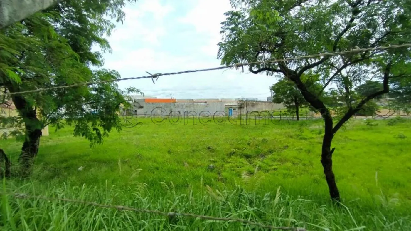 Terreno / Padrão em Ribeirão Preto Alugar por R$2.900,00