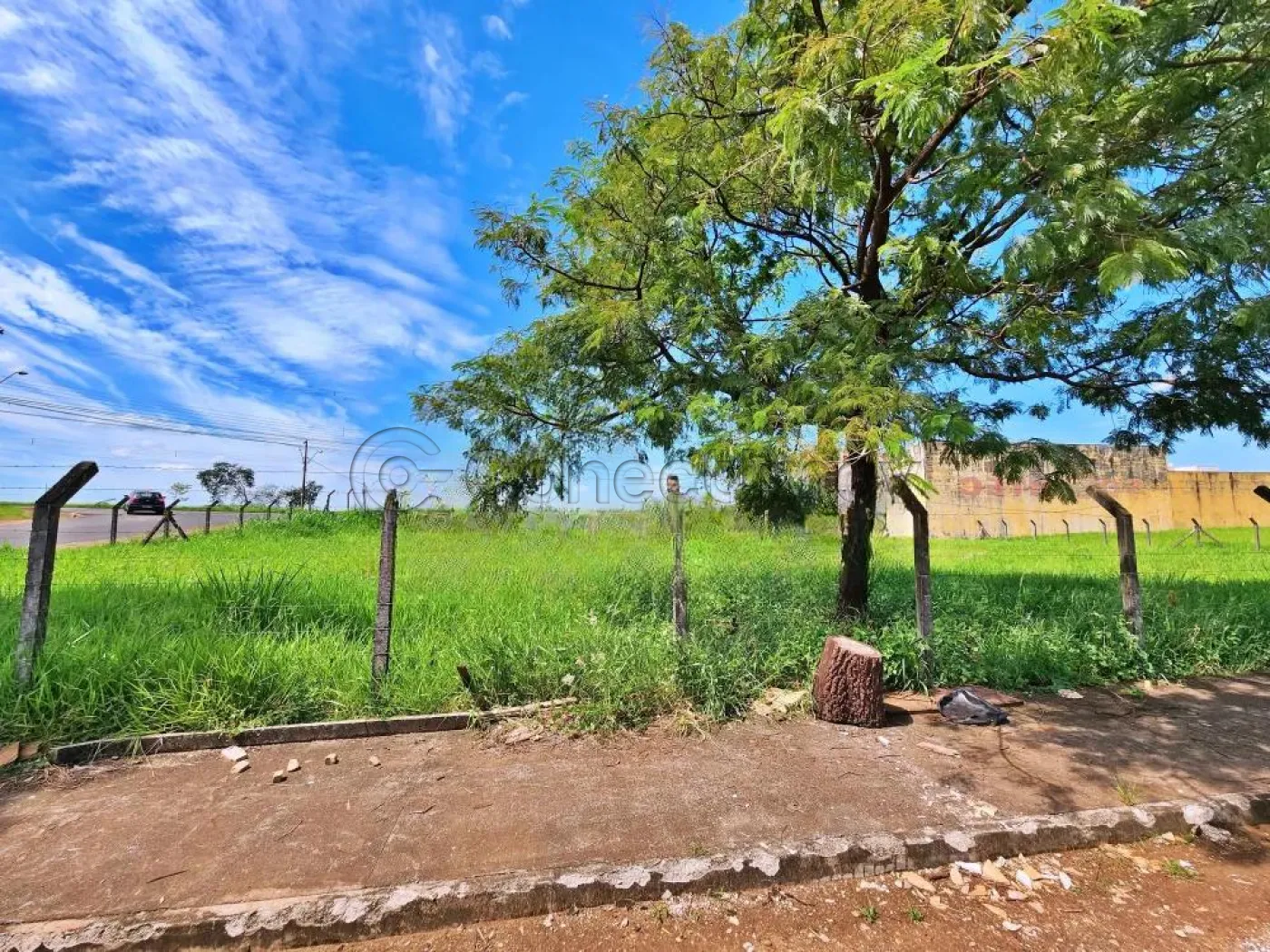 Terreno / Padrão em Ribeirão Preto Alugar por R$4.000,00