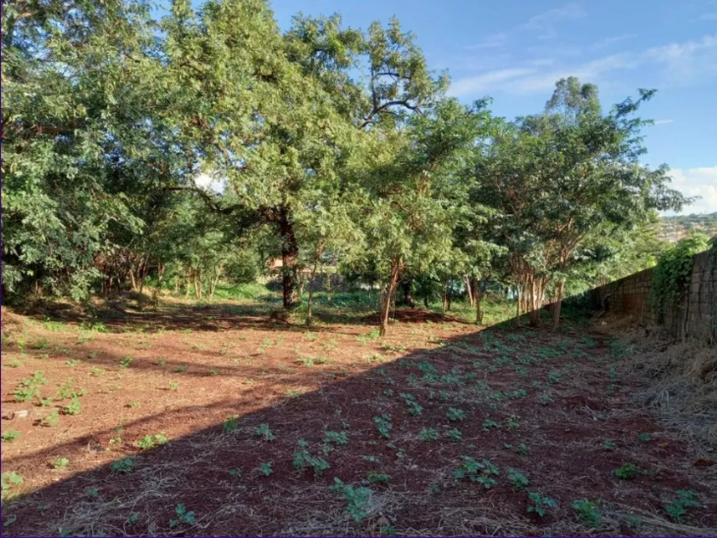 Terreno / Padrão em Ribeirão Preto Alugar por R$6.000,00