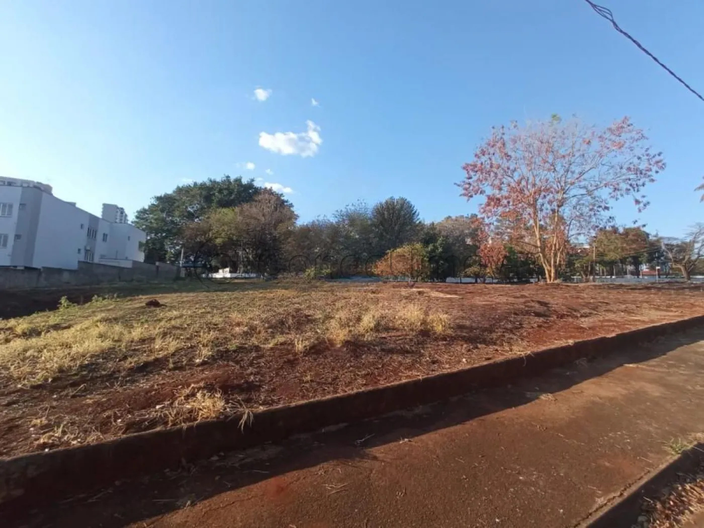 Terreno / Padrão em Ribeirão Preto Alugar por R$1.600,00