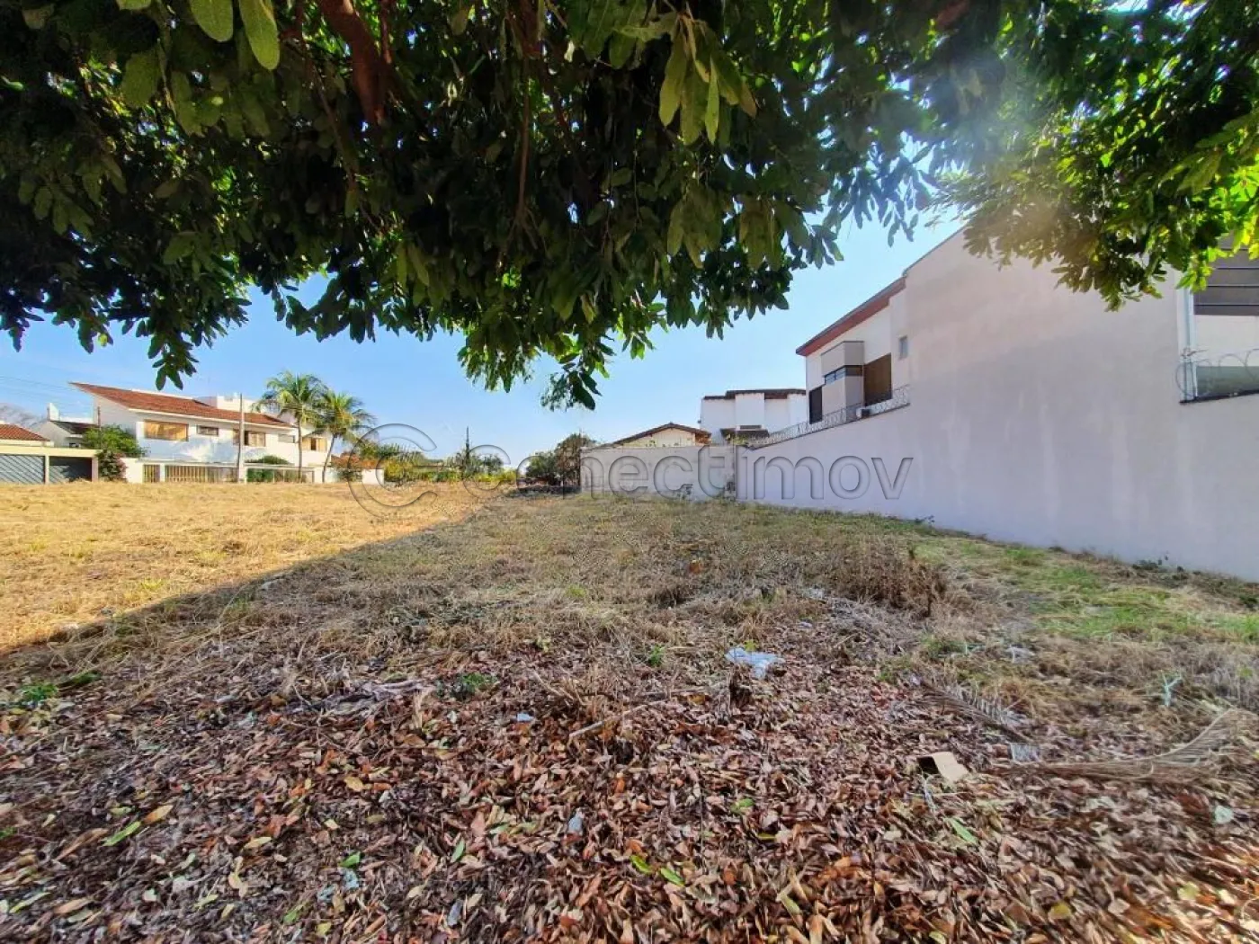 Terreno / Padrão em Ribeirão Preto Alugar por R$1.500,00