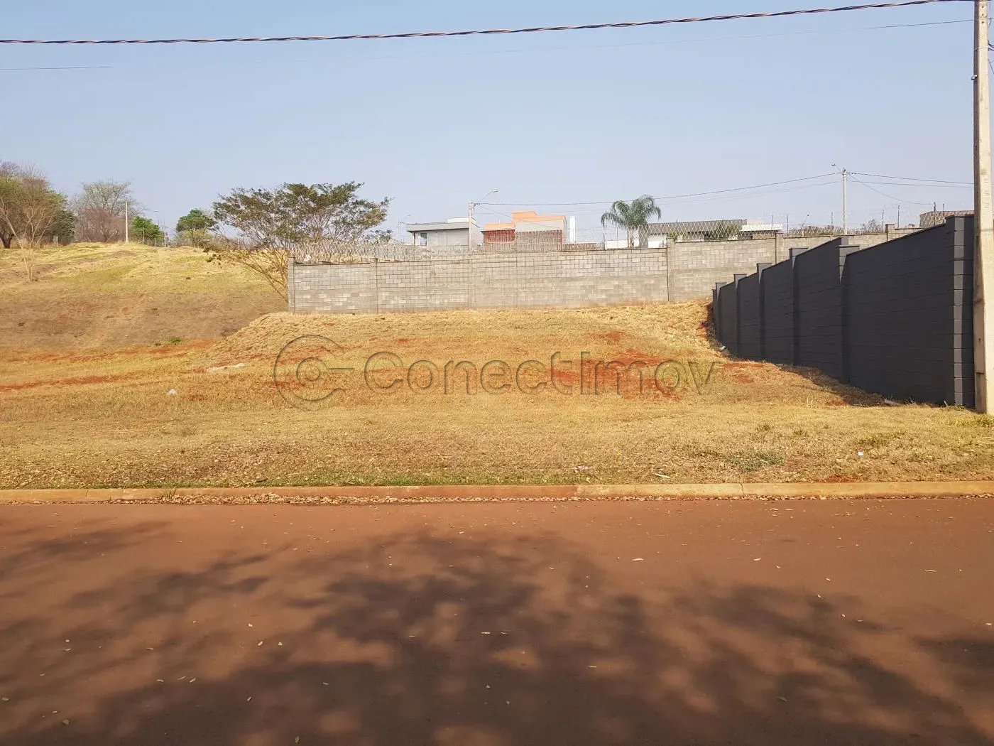 Terreno / Padrão em Ribeirão Preto Alugar por R$5.000,00