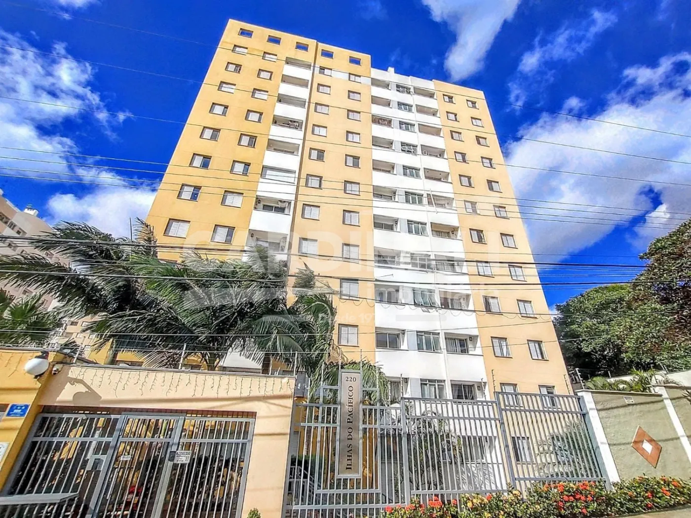 Apartamento / Padrão em Campinas 