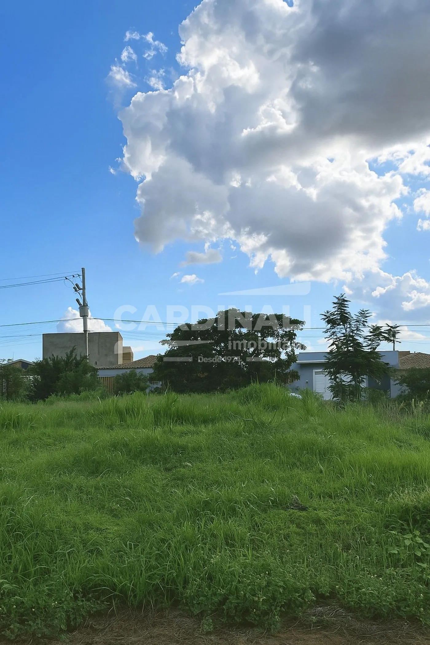 Terreno / Lote em Ribeirão Preto , Comprar por R$260.000,00