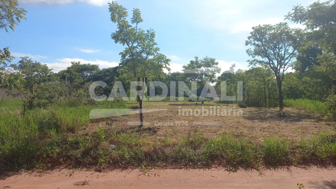 Comprar Terreno / Padrão em Araraquara R$ 250.000,00 - Foto 4