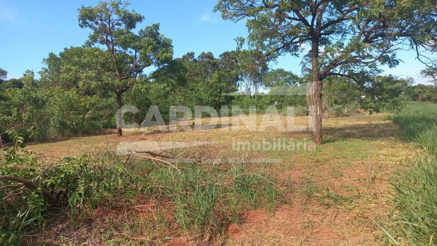 Comprar Terreno / Padrão em Araraquara R$ 250.000,00 - Foto 2
