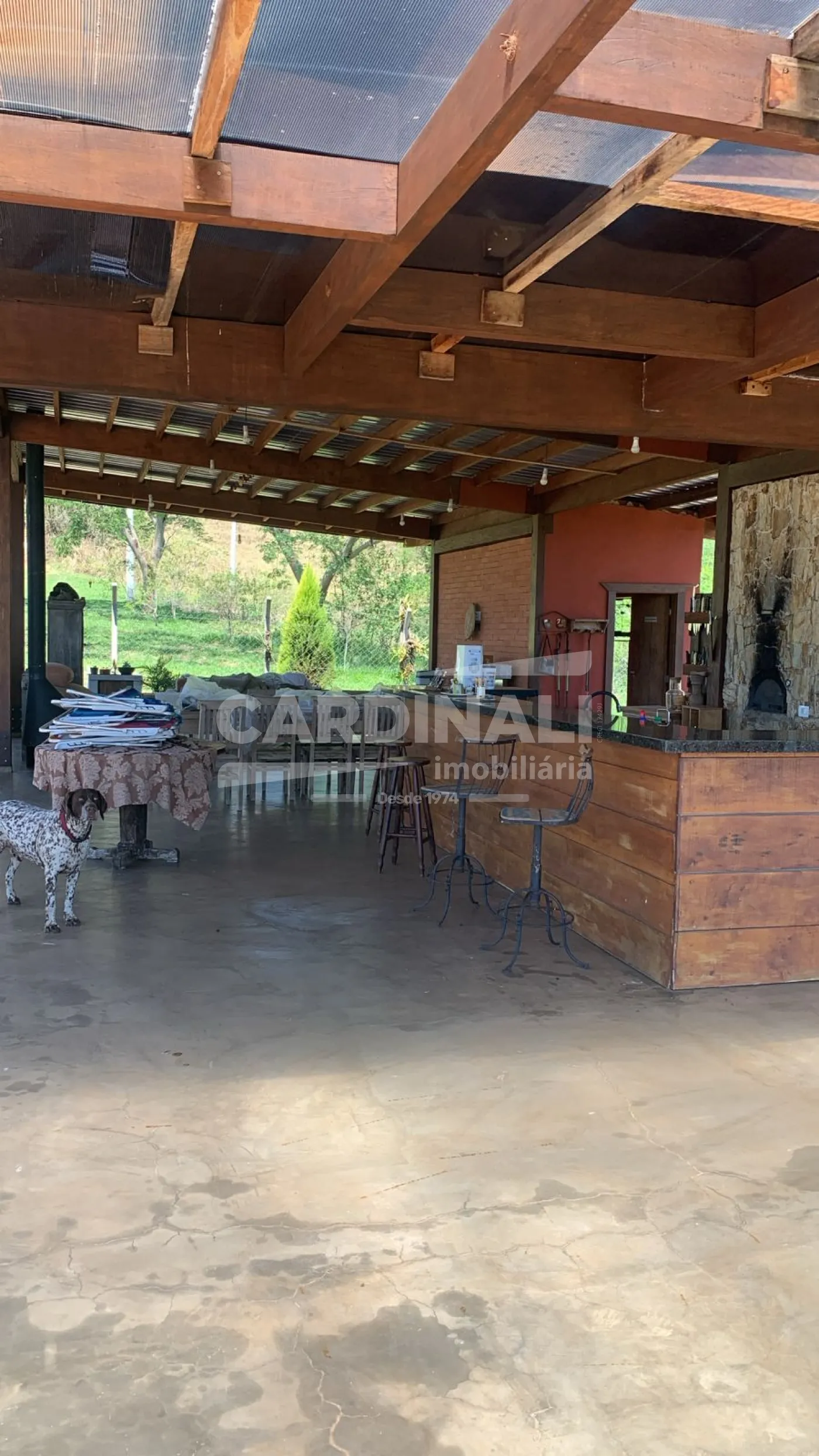 Comprar Rural / Área em São Carlos R$ 1.900.000,00 - Foto 4