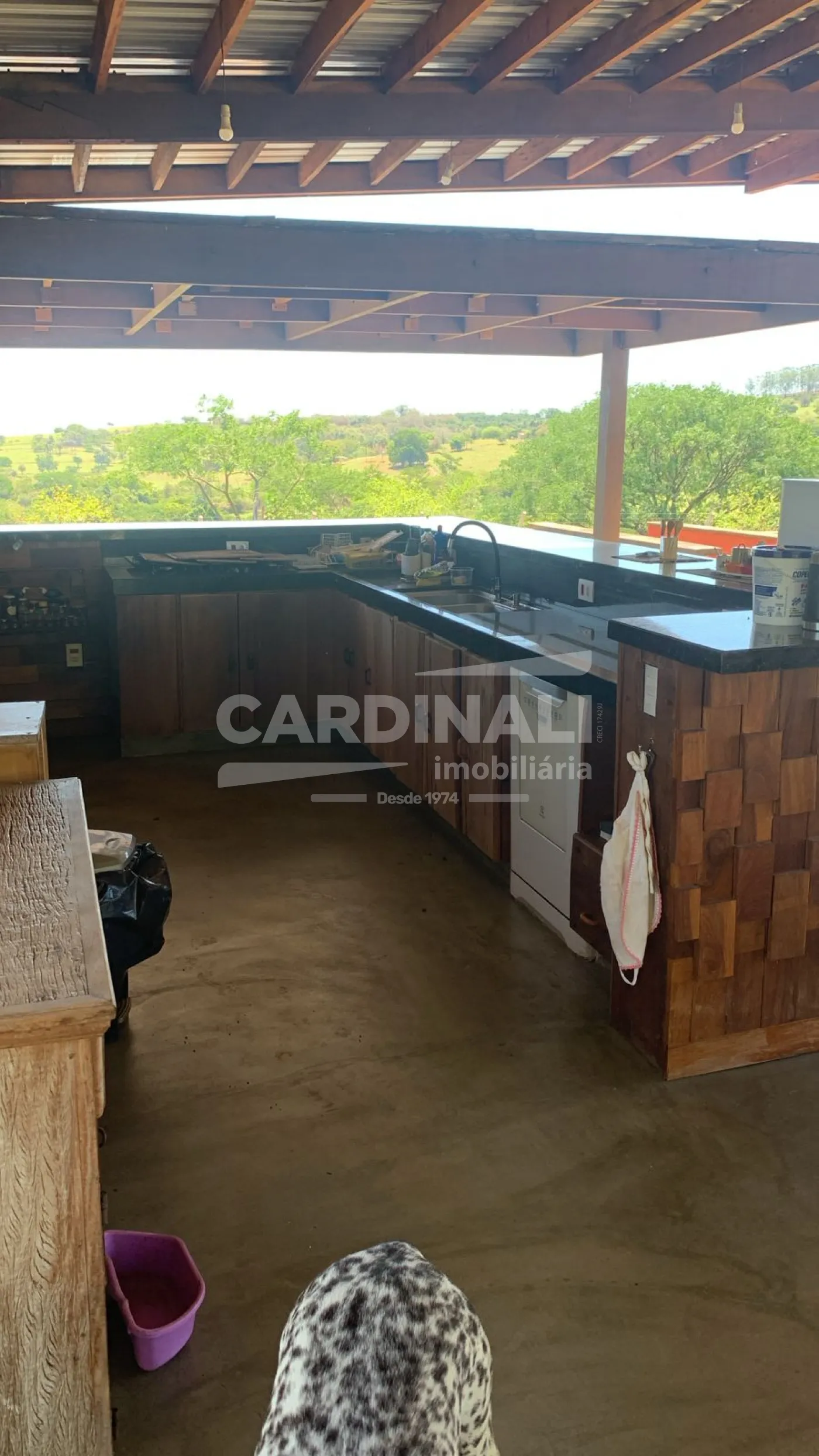 Comprar Rural / Área em São Carlos R$ 1.900.000,00 - Foto 5
