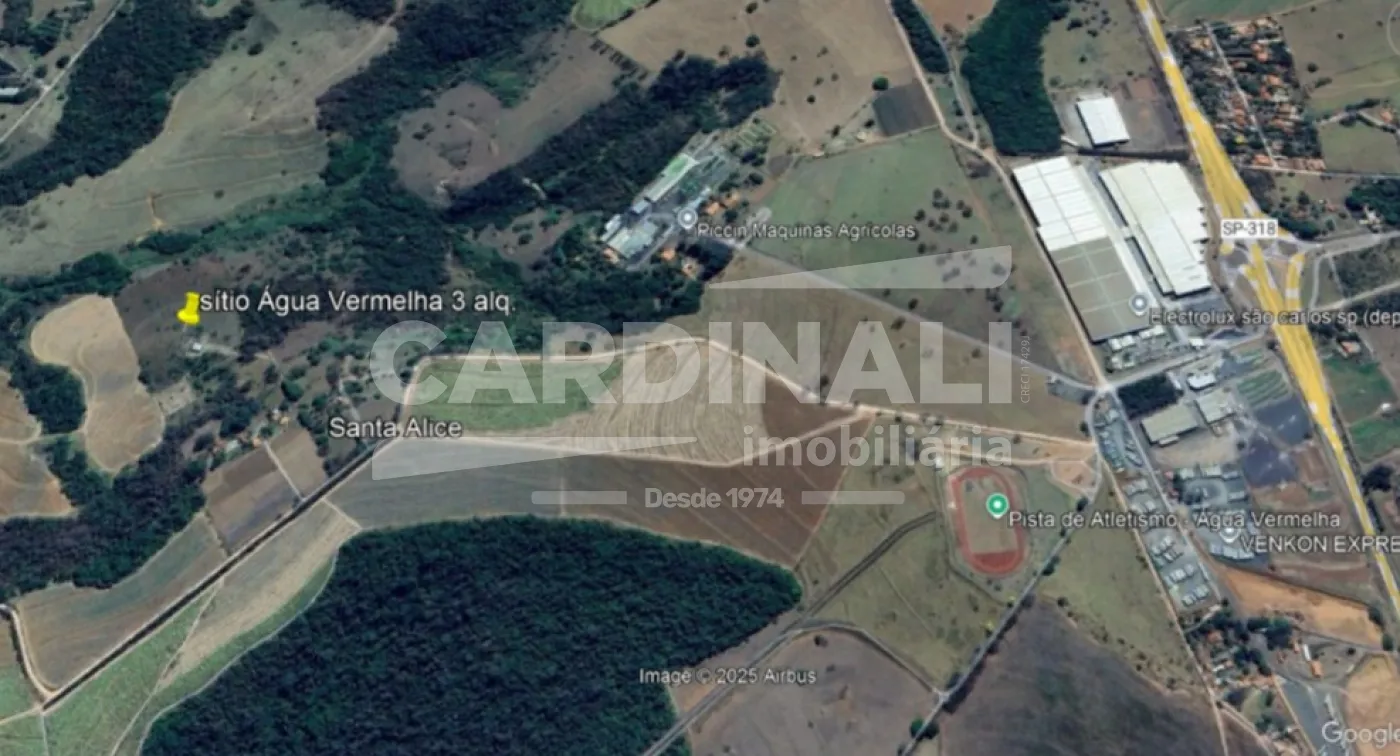 Comprar Rural / Área em São Carlos R$ 1.900.000,00 - Foto 17