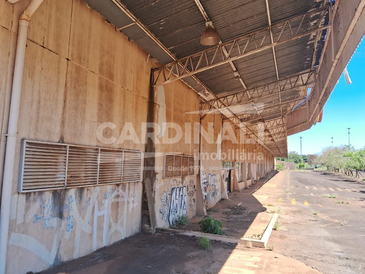 Comprar Comercial / Barracão em Araraquara R$ 60.800.000,00 - Foto 6