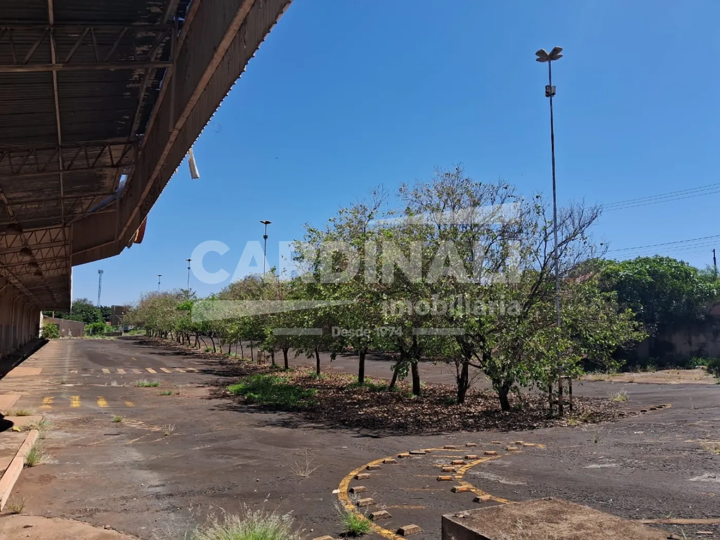 Comprar Comercial / Barracão em Araraquara R$ 60.800.000,00 - Foto 2