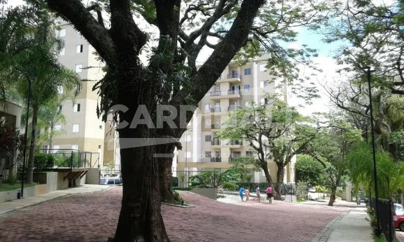 Alugar Apartamento / Padrão em Campinas R$ 2.400,00 - Foto 17