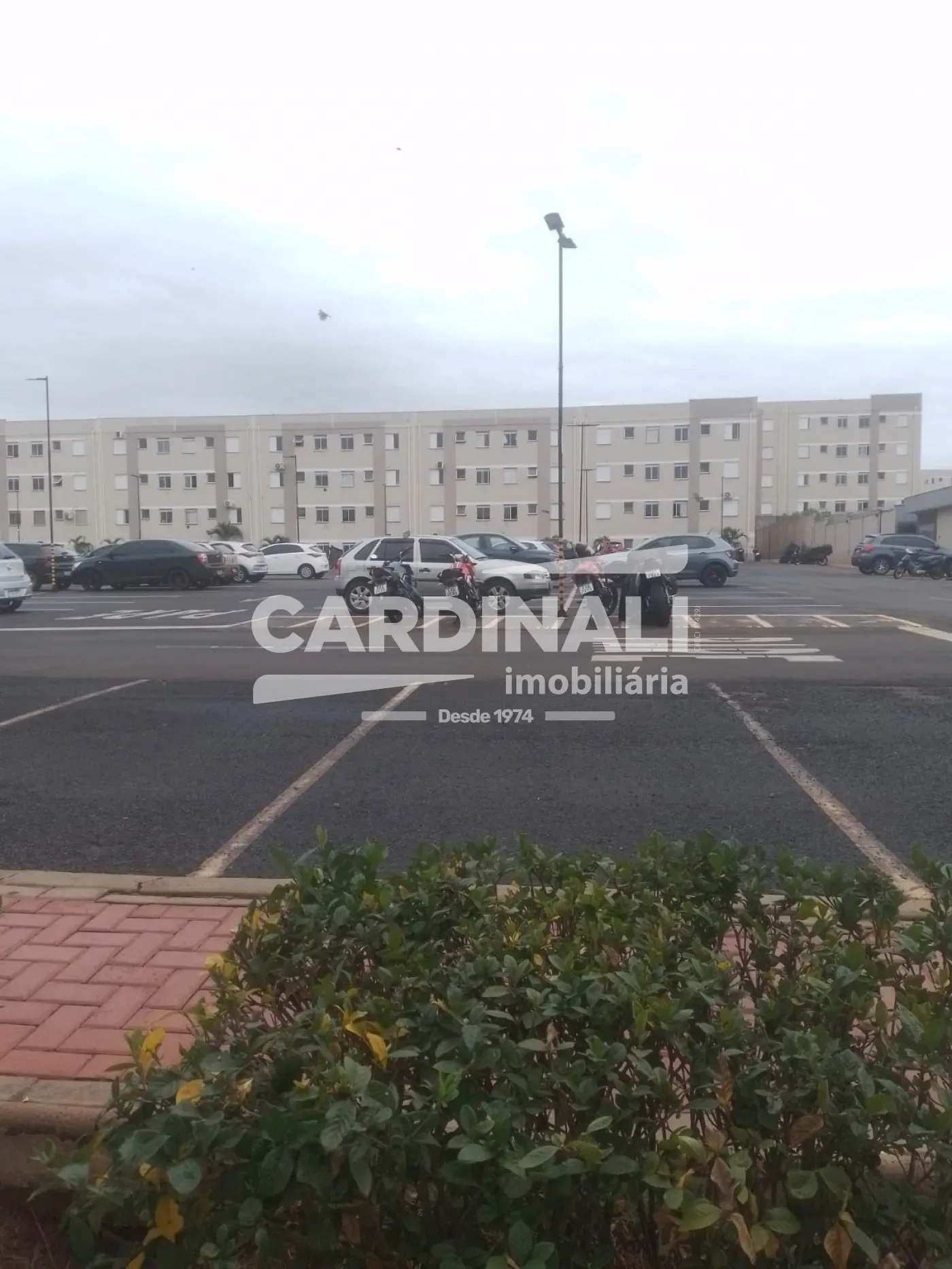 Alugar Apartamento / Padrão em Araraquara R$ 1.093,10 - Foto 16