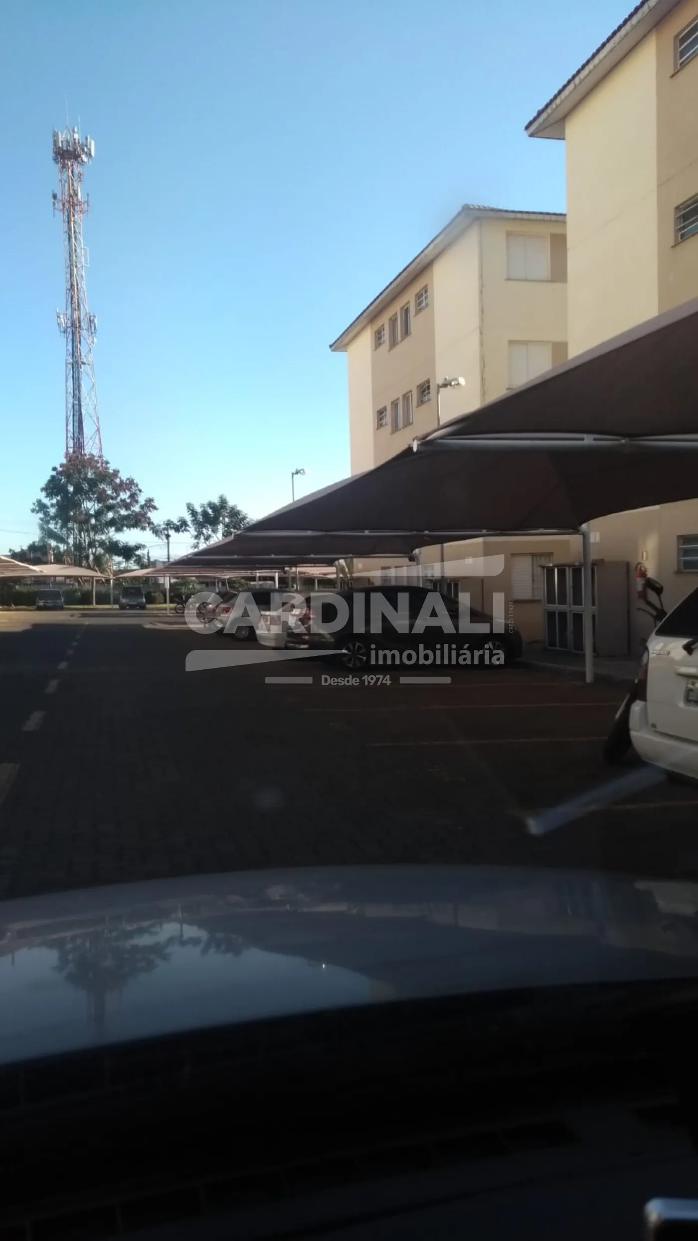 Alugar Apartamento / Padrão em Araraquara R$ 550,00 - Foto 23