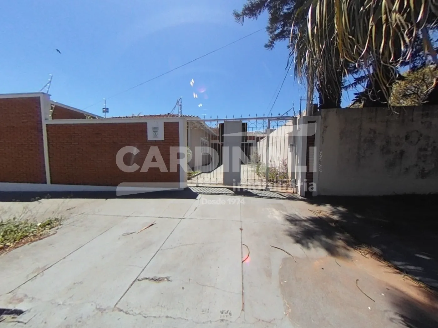 Alugar Casa / Padrão em São Carlos R$ 3.667,00 - Foto 1