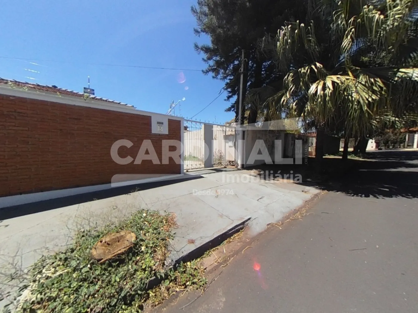 Alugar Casa / Padrão em São Carlos R$ 3.667,00 - Foto 2