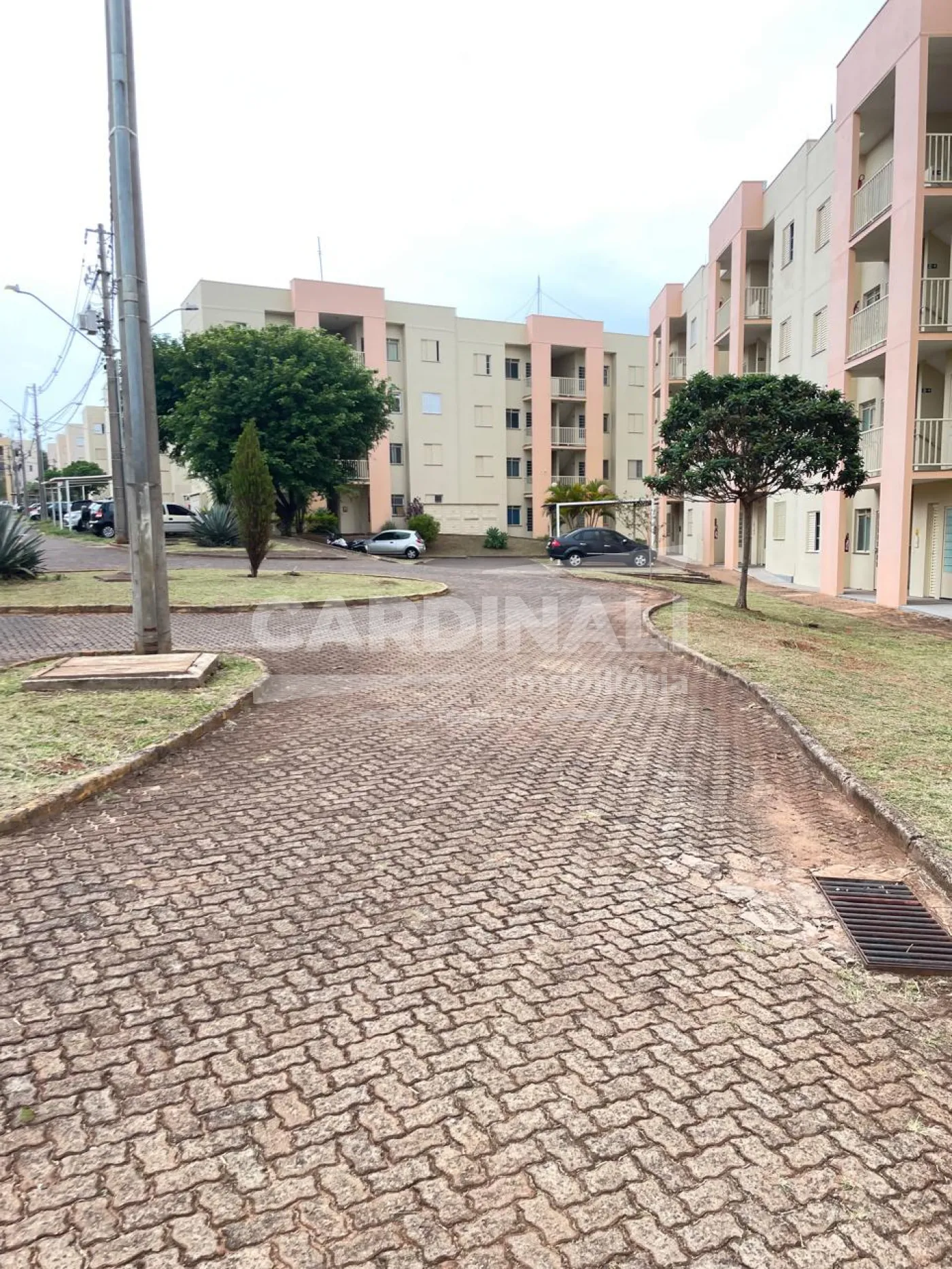 Alugar Apartamento / Padrão em São Carlos R$ 889,00 - Foto 1