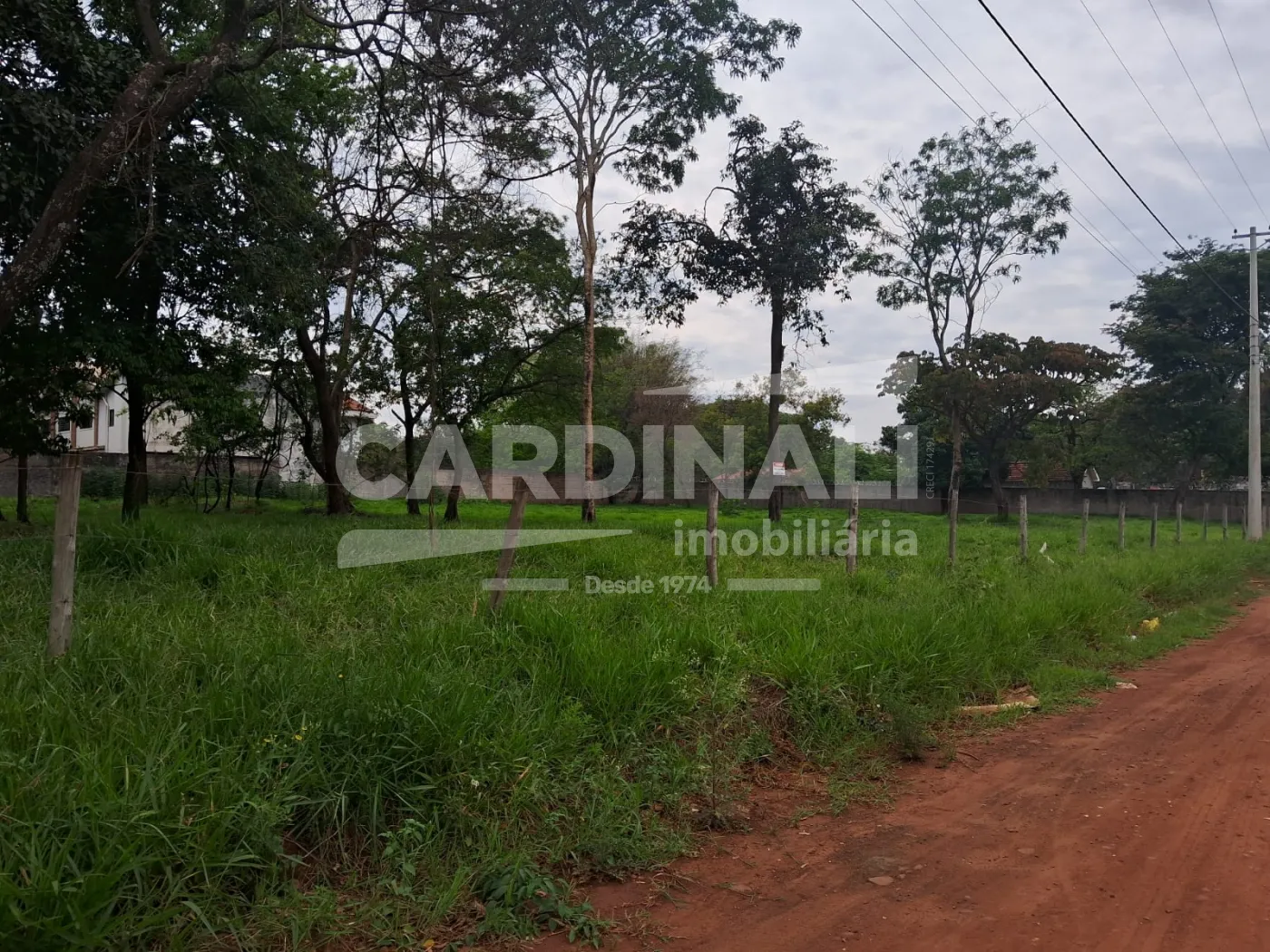 Comprar Terreno / Área em Araraquara R$ 320.000,00 - Foto 6