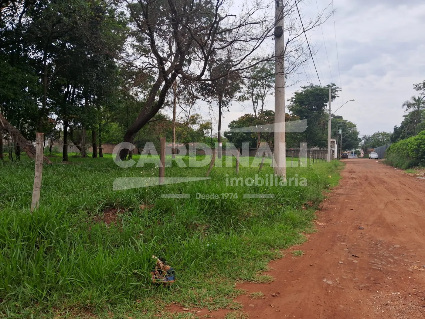 Comprar Terreno / Área em Araraquara R$ 320.000,00 - Foto 7