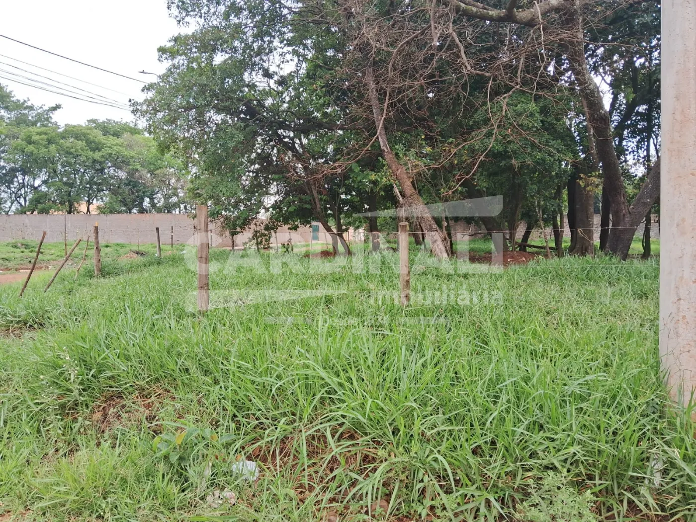 Comprar Terreno / Área em Araraquara R$ 320.000,00 - Foto 4