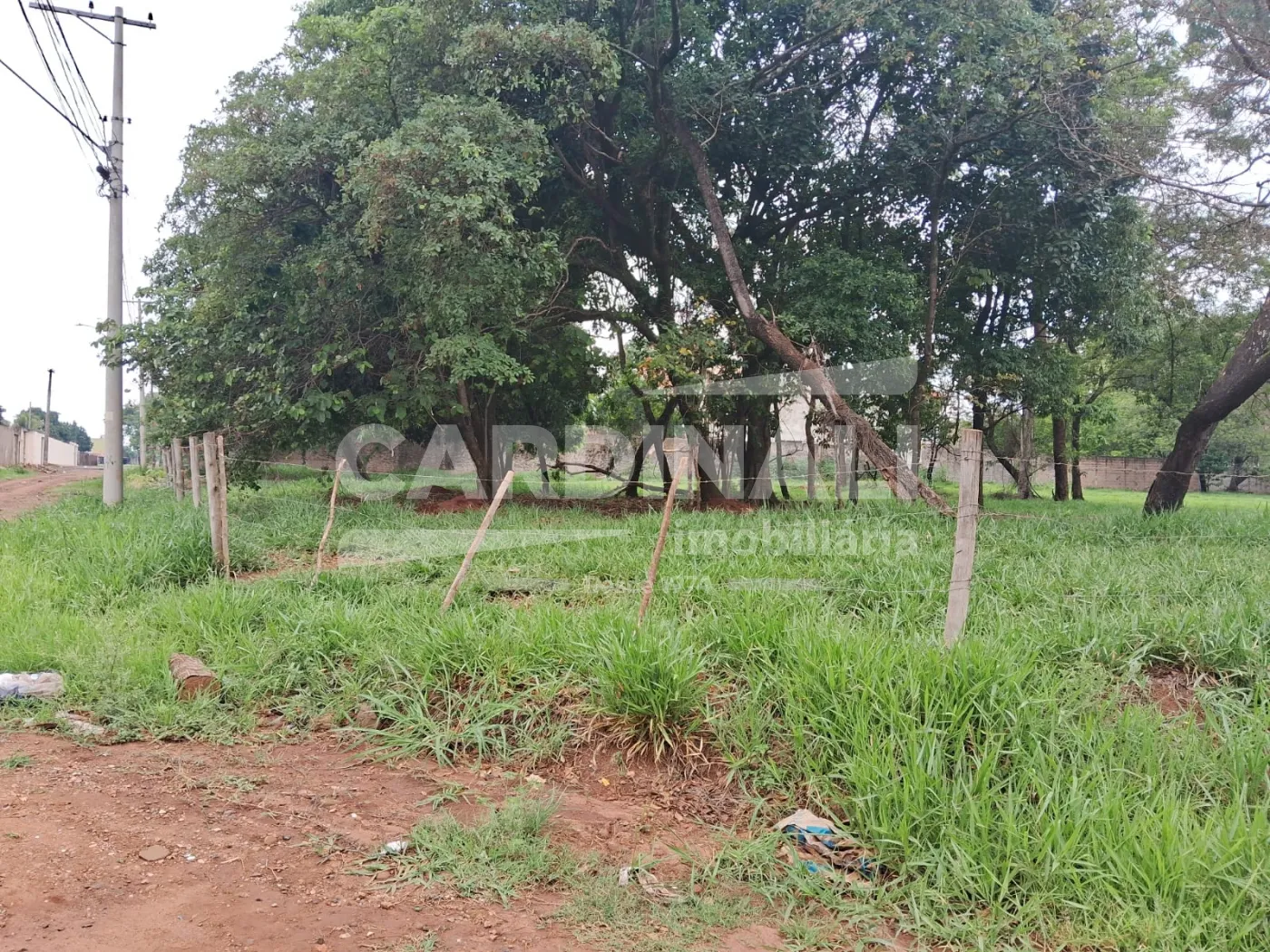 Comprar Terreno / Área em Araraquara R$ 320.000,00 - Foto 5
