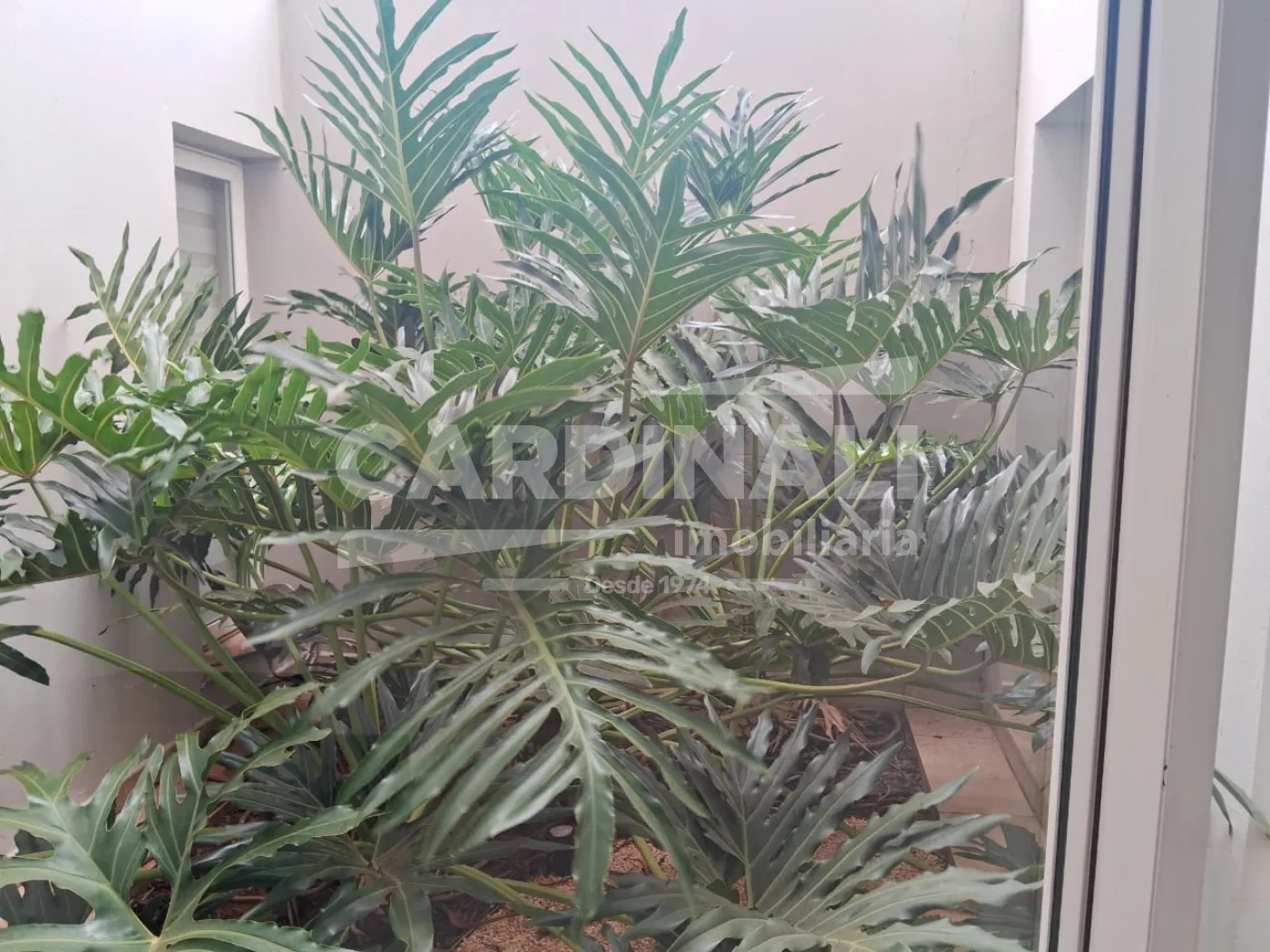 Comprar Casa / Condomínio em Araraquara R$ 1.600.000,00 - Foto 44