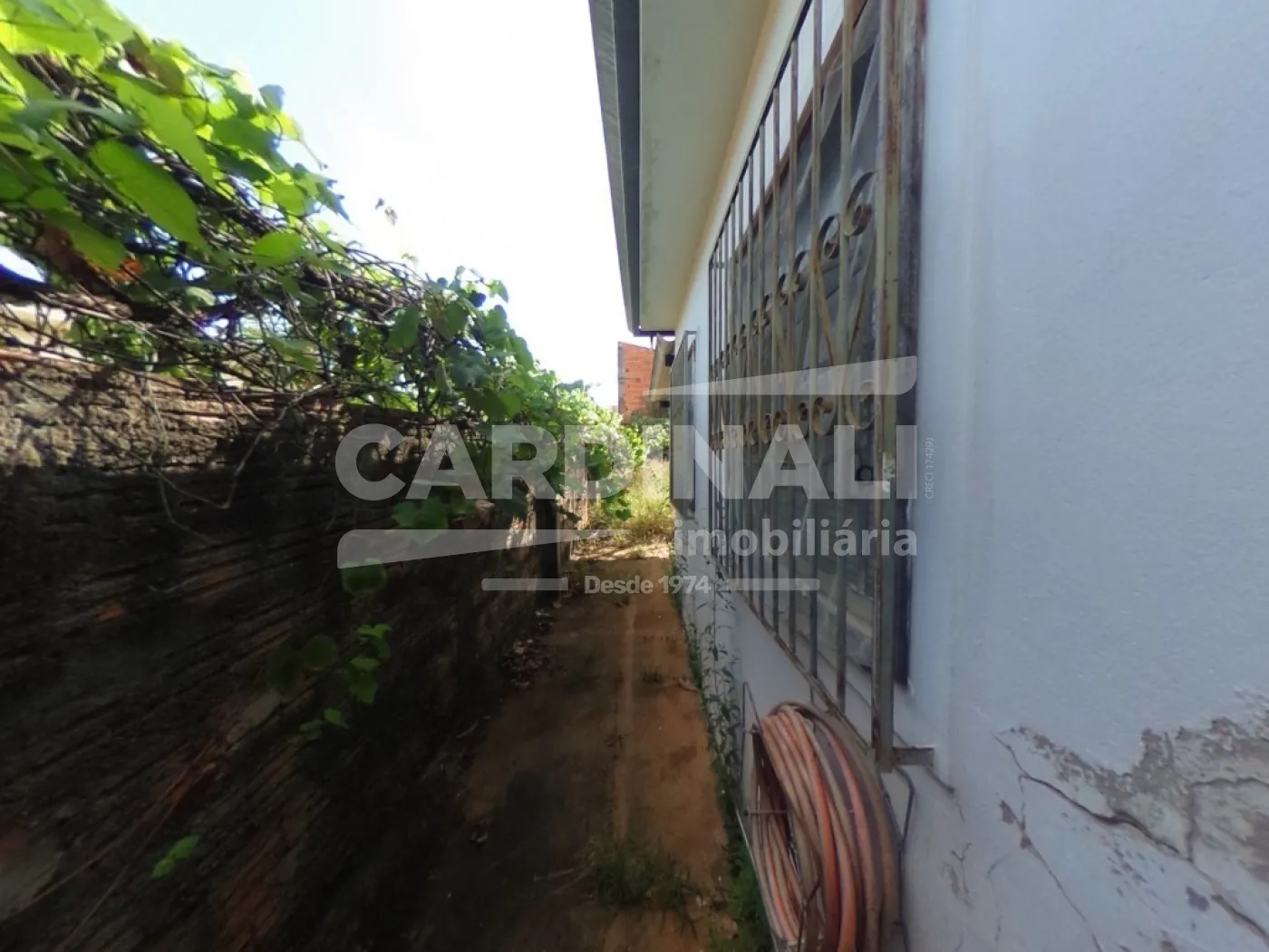 Alugar Casa / Padrão em São Carlos R$ 800,00 - Foto 17