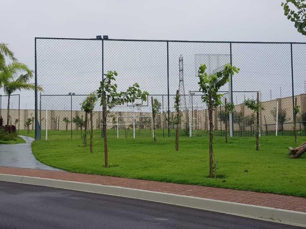 Comprar Terreno / Condomínio em Araraquara R$ 450.000,00 - Foto 8