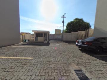 Alugar Apartamento / Padrão em São Carlos R$ 800,00 - Foto 14 Alugar Apartamento / Padrão em São Carlos R$ 800,00 - Foto 14