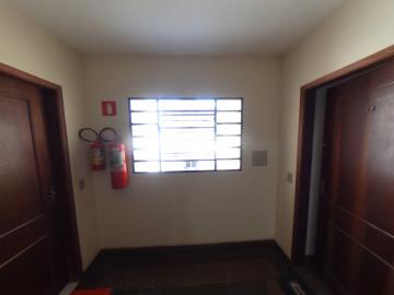 Alugar Apartamento / Padrão em São Carlos R$ 800,00 - Foto 15 Alugar Apartamento / Padrão em São Carlos R$ 800,00 - Foto 15