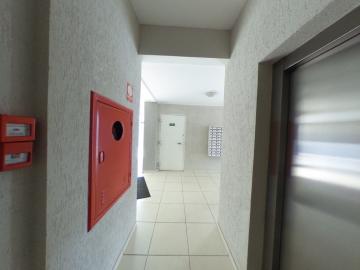 Alugar Apartamento / Padrão em São Carlos R$ 1.101,55 - Foto 13 Alugar Apartamento / Padrão em São Carlos R$ 1.101,55 - Foto 13