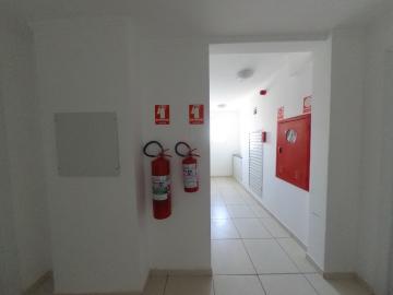 Alugar Apartamento / Padrão em São Carlos R$ 1.101,55 - Foto 14 Alugar Apartamento / Padrão em São Carlos R$ 1.101,55 - Foto 14