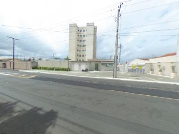 Alugar Apartamento / Padrão em São Carlos R$ 920,00 - Foto 40 Alugar Apartamento / Padrão em São Carlos R$ 920,00 - Foto 40